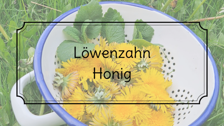 Löwenzahn-Honig statt Marmelade – Was ich diesmal anders gemacht habe